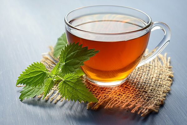 Csalán tea készítése lépésről lépésre - A csalán tea gyógyhatása