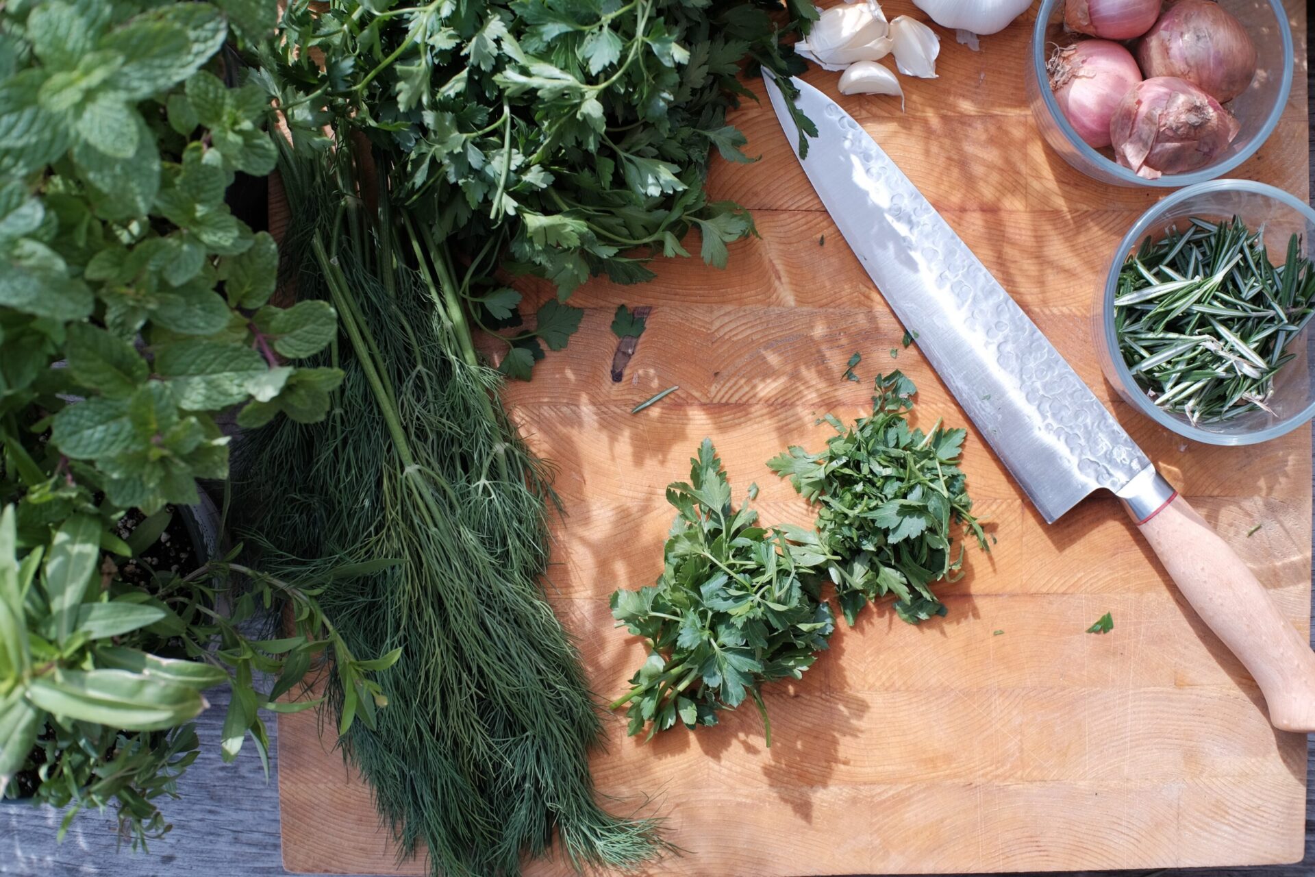 10 népszerű gyógynövény, amit imádnak az emberek, kerti tippek, kerttipp.hu, fűszernövények