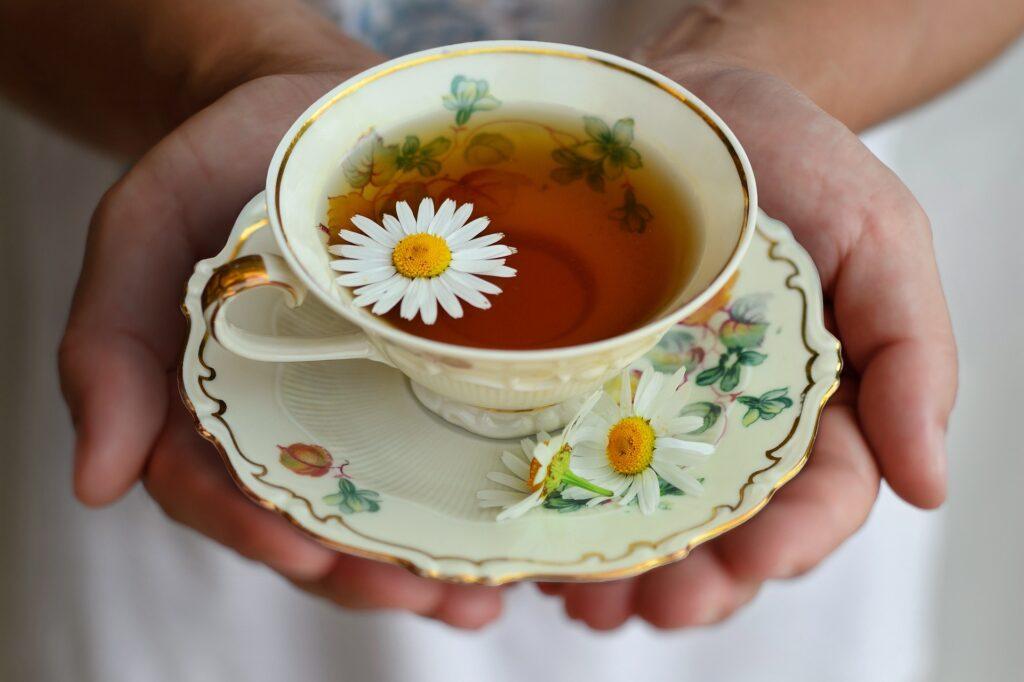 Láz elleni növények, láz csökkentése, enyhítése, természetes gyógymódok láz ellen, gyógynövény tea, kamillatea, kerttipp.hu