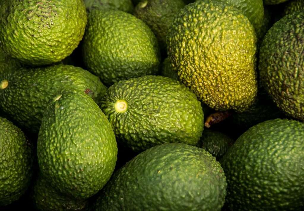 agyserkentő növény, zöldség, agyserkentés, agyműködés támogatása, javítása, agy egészségének fenntartása, memóriafunkciók javítása, avokádó, kerttipp, kerttipp.hu, C-, B-, K-vitamin