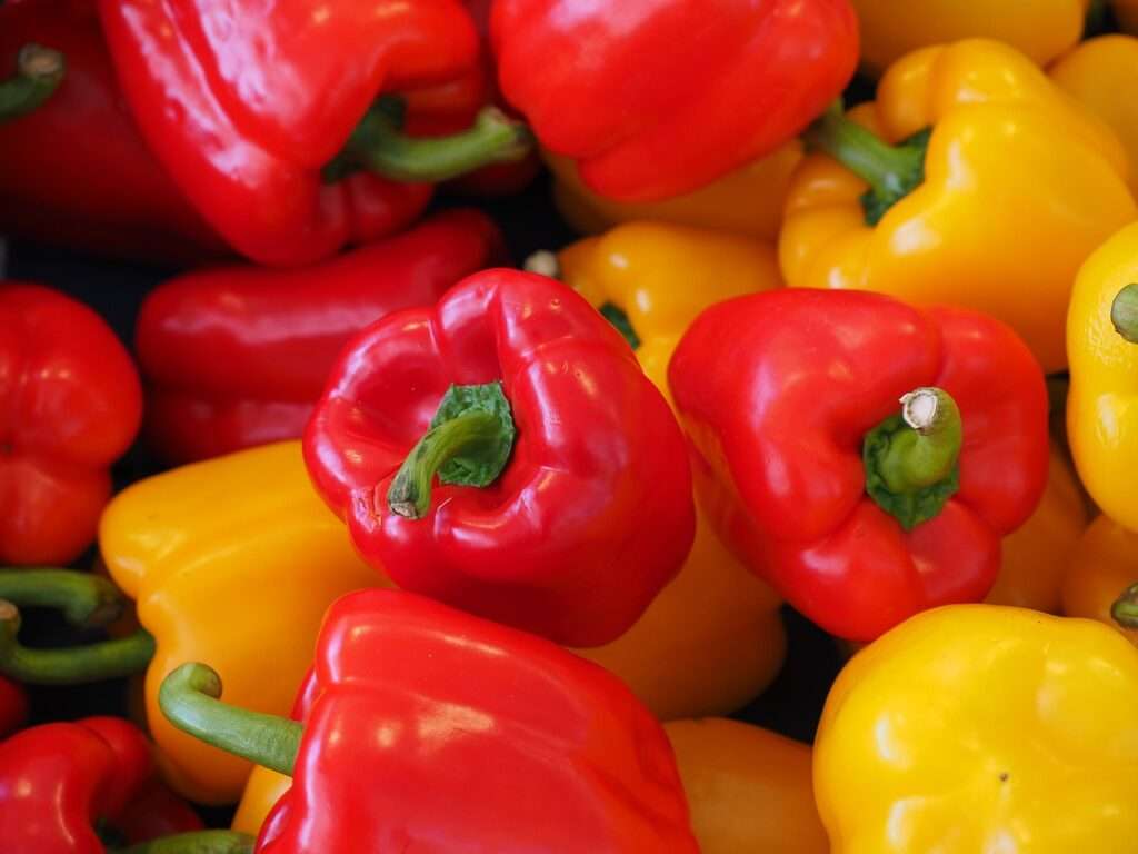 agyserkentő növény, zöldség, agyserkentés, agyműködés támogatása, javítása, agy egészségének fenntartása, memóriafunkciók javítása, paprika, kerttipp.hu, C-, B-, K-vitamin