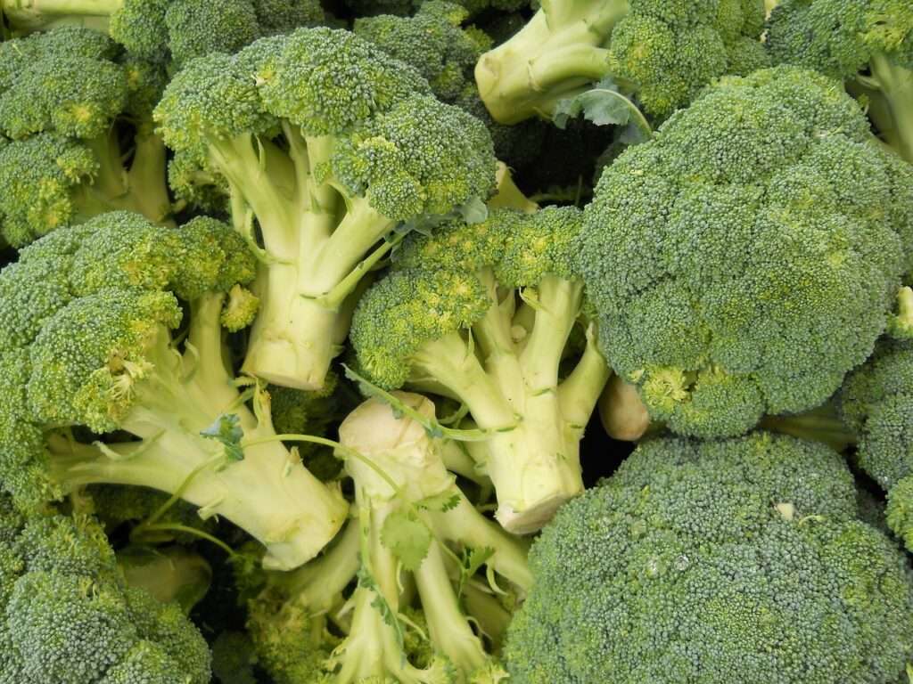 egészség javítása, megőrzése, brokkoli, kerttipp, kerttipp.hu, C-vitamin, E-vitamin, egészségeséletmód, egészség